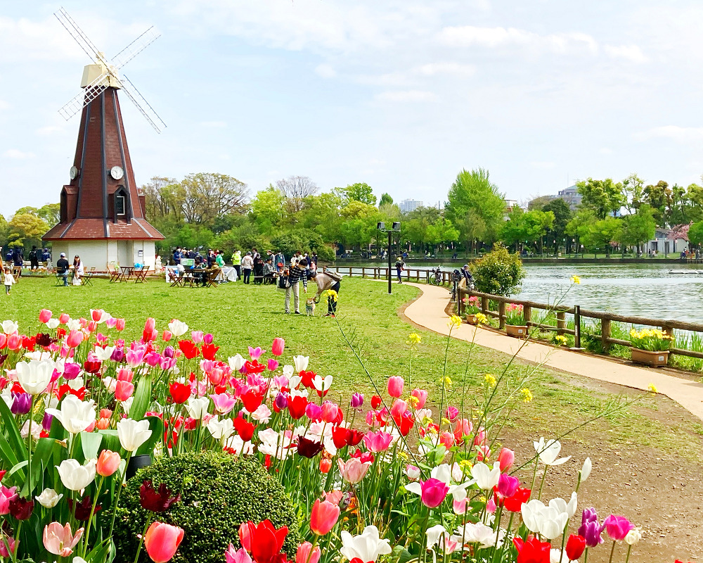 浮間 浮間舟渡｜2023年7月29日｜出没！アド街ック天国：テレビ東京
